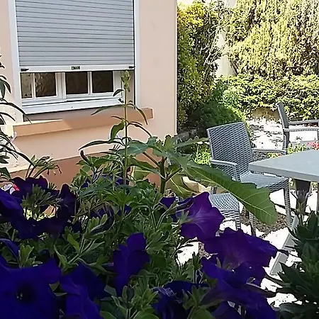 Du Midi Hotel