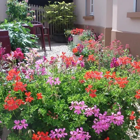 Du Midi Hotel